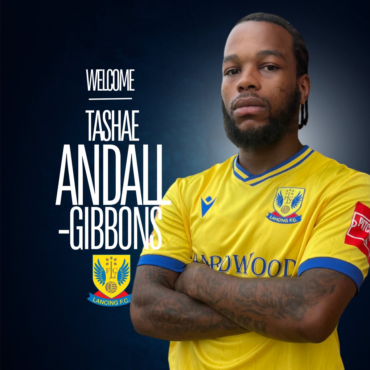 LancingFC's tweet image. 𝗡𝗘𝗪 𝗦𝗜𝗚𝗡𝗜𝗡𝗚!

An extremely popular trialist this preseason and a fan favourite already, we are 𝗩𝗘𝗥𝗬 excited to welcome former Sheffield United midfielder, Tashae Andall-Gibbons to BN15.

🟡🔵
#YABA