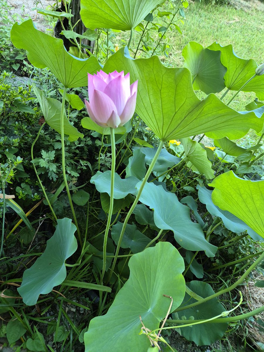 좋은 시간 되세요