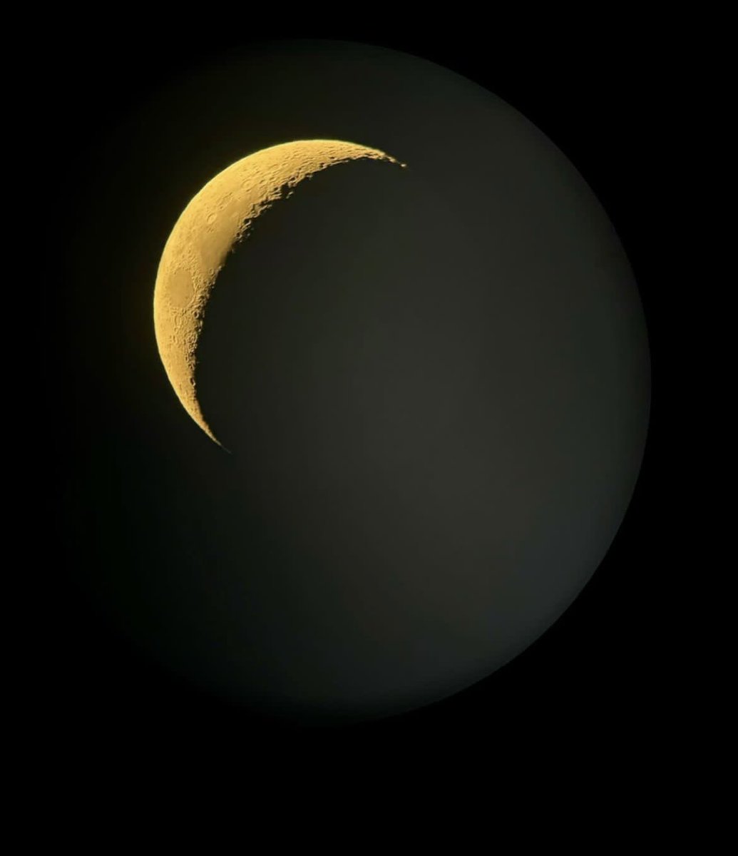 Fletcher News tweet media