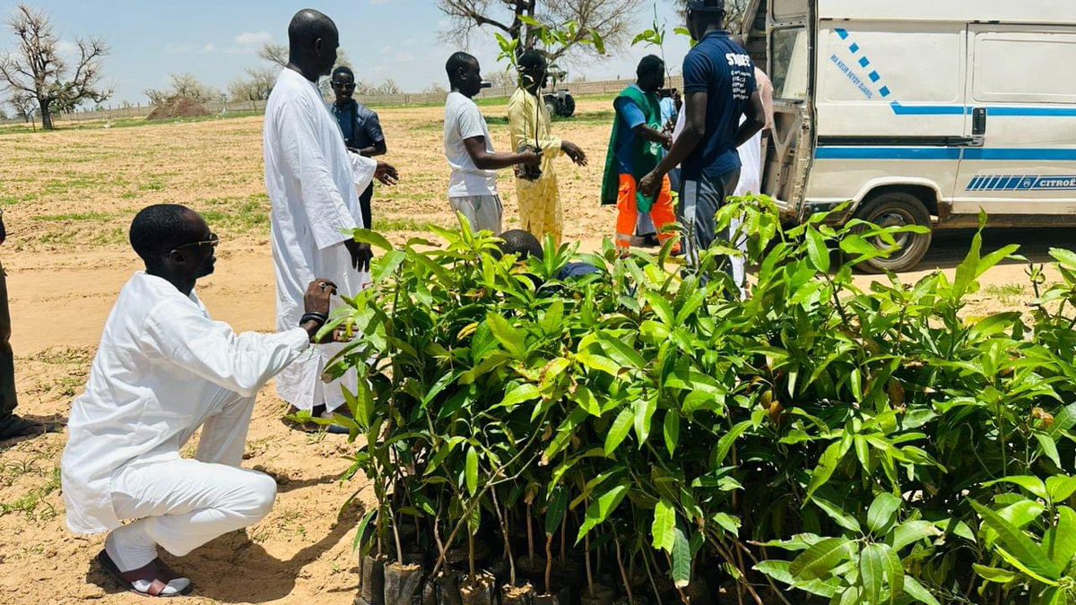 JVE SENEGAL 🇸🇳 tweet media