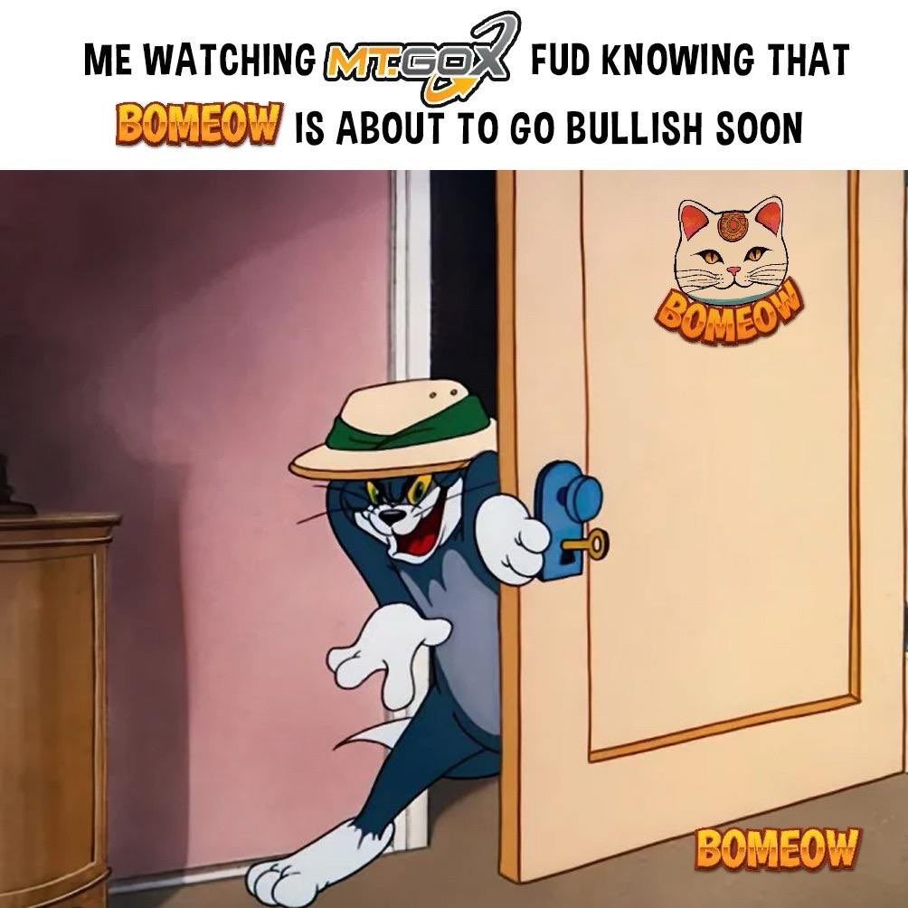 Book of Meow ($BOMEOW) (@Bomeow_solana) / Posts / X