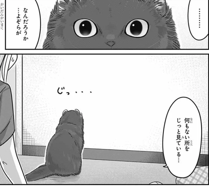 発売中のジャンプSQ.9月号に『カワイスギクライシス』載せてもらってます。

「猫にまつわる怪談特集」の取材でリザの元を訪れた猫部の二人。猫部部長の家で飼われる「化け猫」と夜な夜な起こる怪現象。
夏らしく怖可愛いお話をお届けします。
よろしくお願いします! 