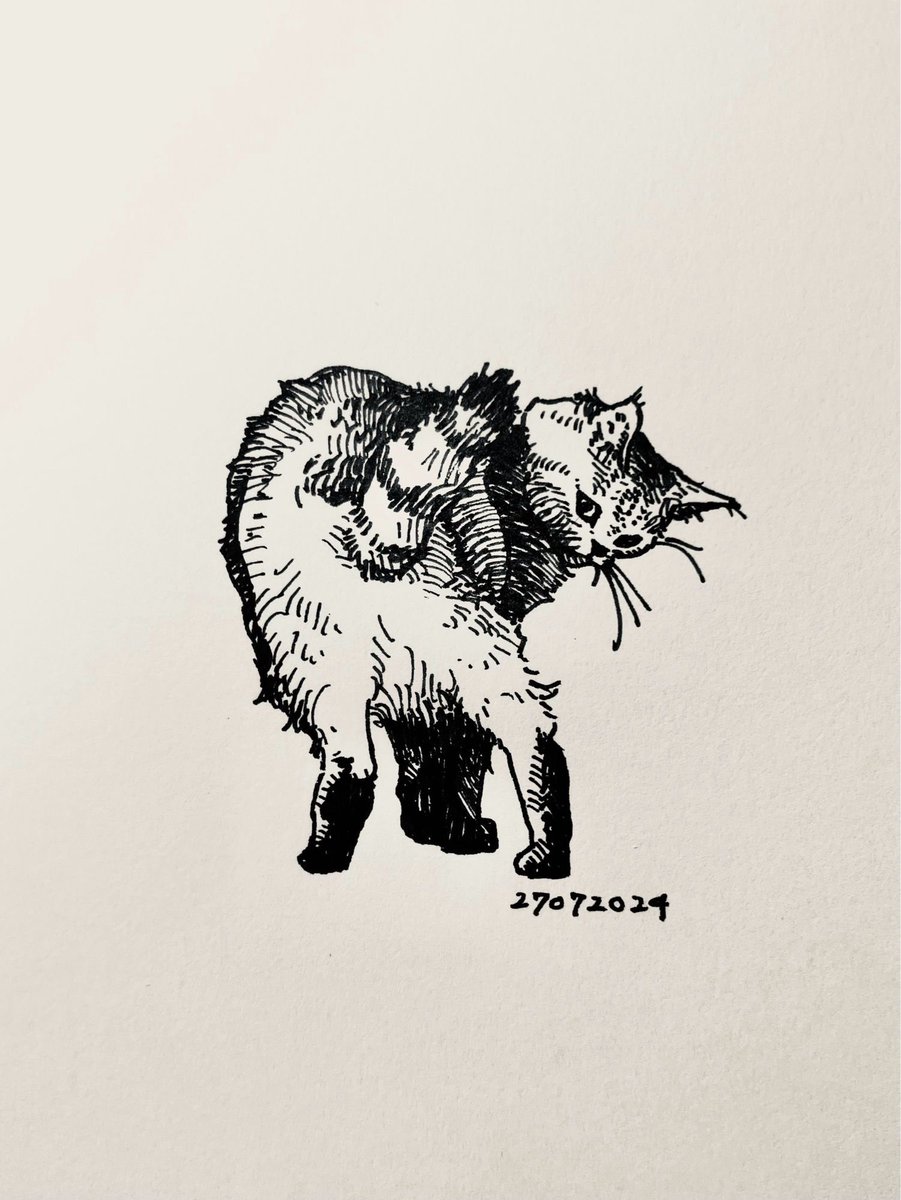 猫のらくがきの方が人気があるペン画家です。特技は効率の悪い塗り潰しです。

 #私はこういう絵師です見た絵師全員参加 