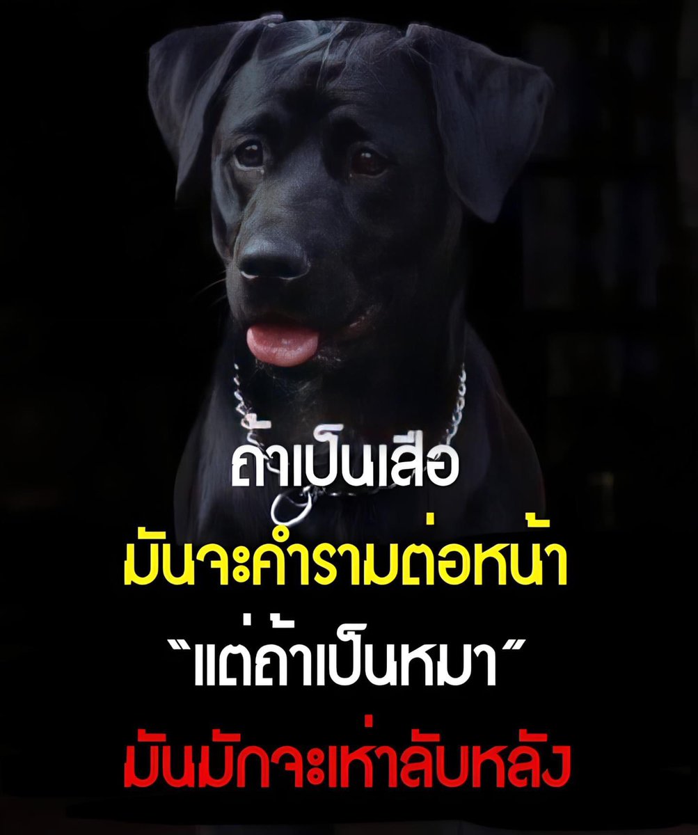 La'ong Fong tweet media