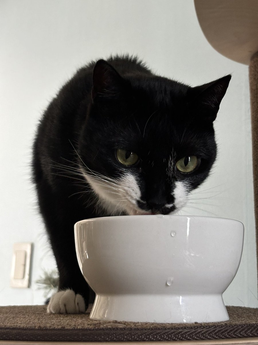 물맛이조쿠나~~후루룹찹찹