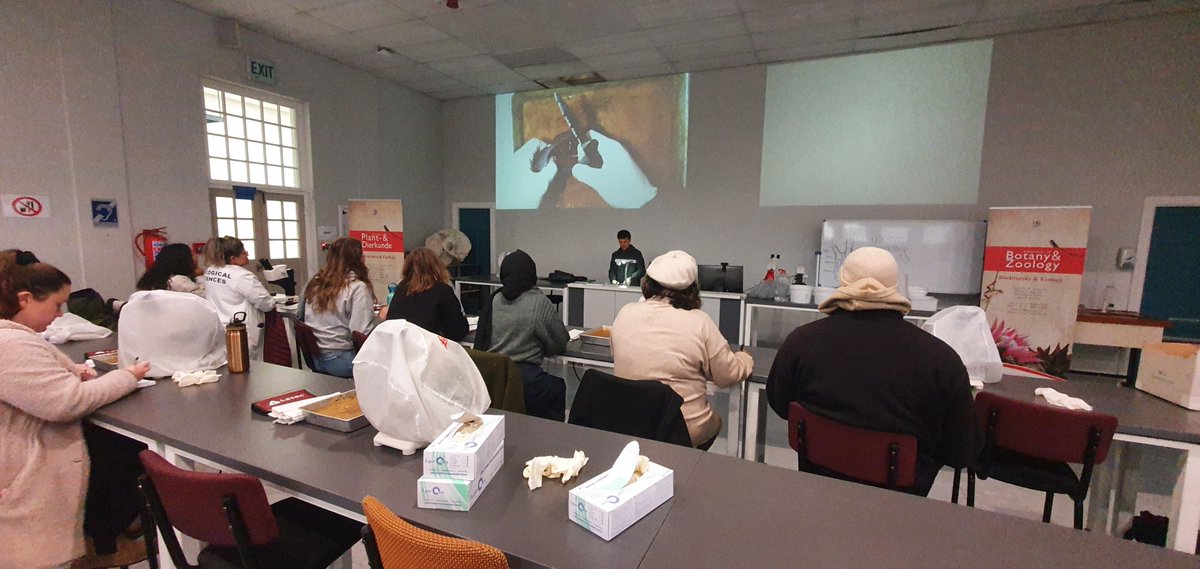 Marc Rius - Ecology & Evolution Lab tweet media