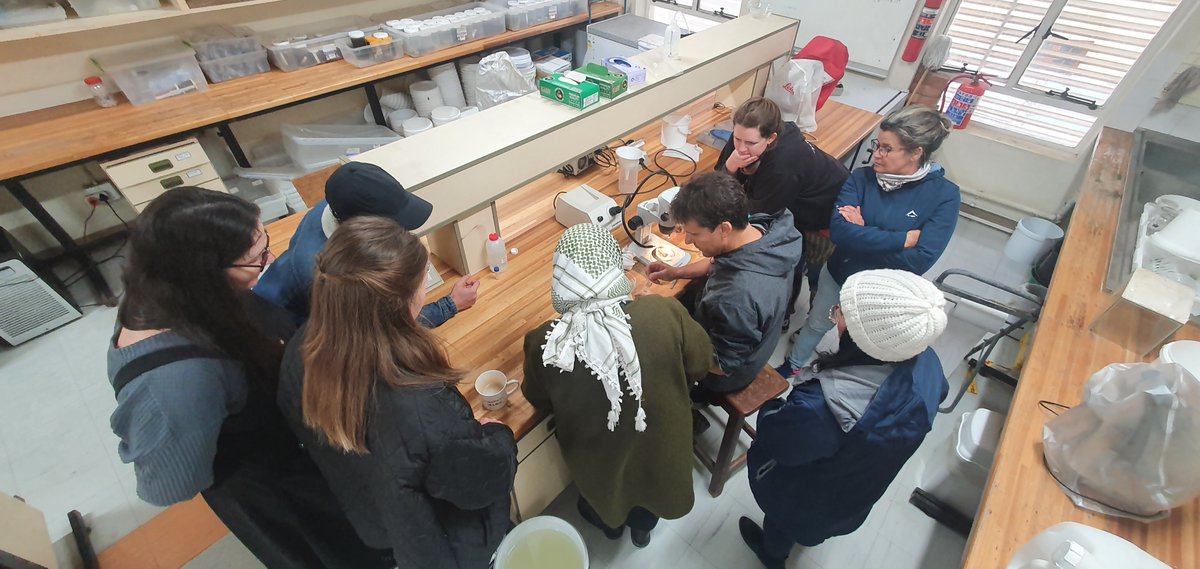 Marc Rius - Ecology & Evolution Lab tweet media