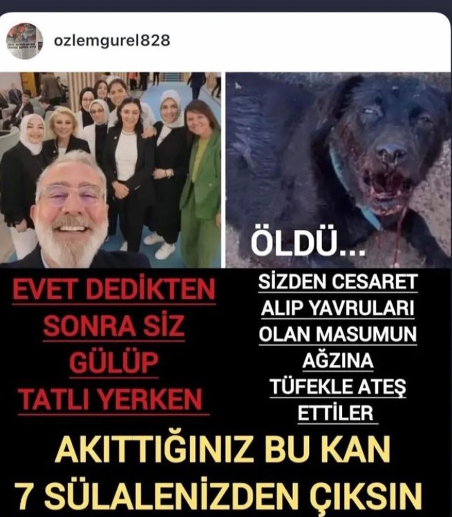 Kelimelerin kifayetsiz kaldığı noktadayız.