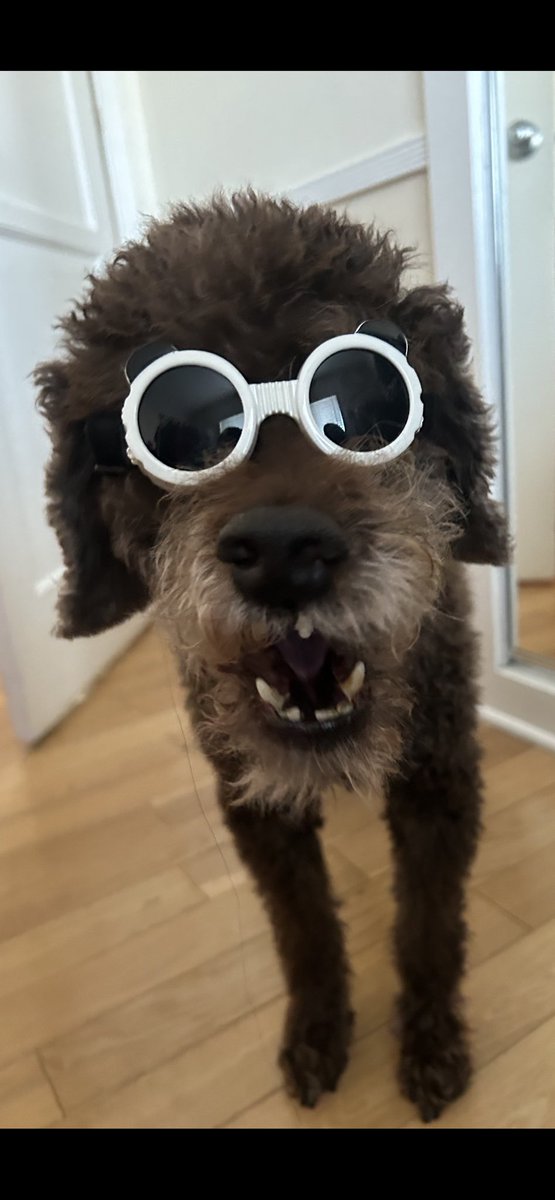 We love you Teddy Bear! #teddybear #katyamusic