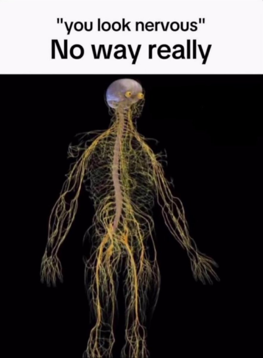 Meaw Nyas 😈😾【Commissions Closed】 tweet media