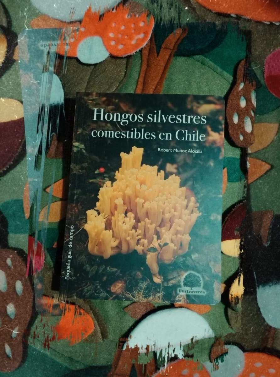 MedussAmanita 🍄 tweet media