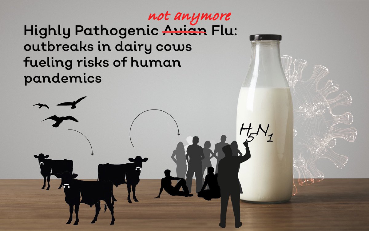 flu_catcher tweet picture
