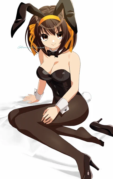 再掲です#バニーの日 