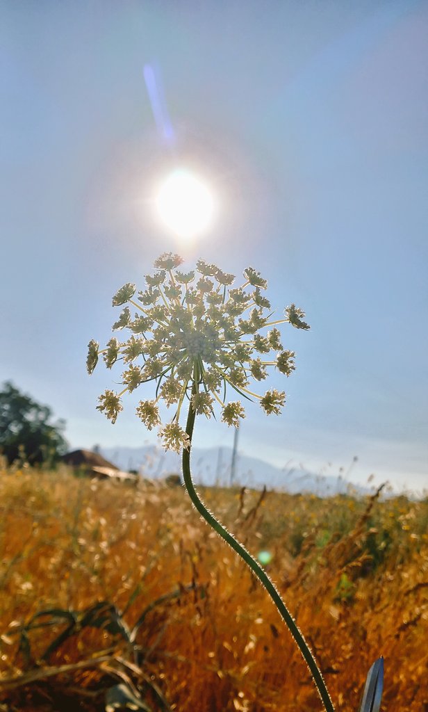 Sana, günbatımına bakıyormuş gibi bakan birini bulursan, kaybetme... 💙
04.04