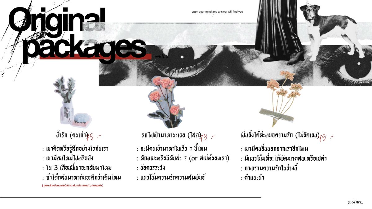 6Ints_'s tweet image. ⚠️ : read this before dm !
( รายละเอียดสำหรับท่านที่สนใจ ก่อนทักรบกวนกดเฟบหรือรีทวีตเพื่อป้องกันการตอบกลับที่ล่าช้า, จองคิวได้เสมอนะคะ รอไม่นานค่ะ ) 

@6Ints_ , thanks for all your attention ( black cat is coming to town ! )