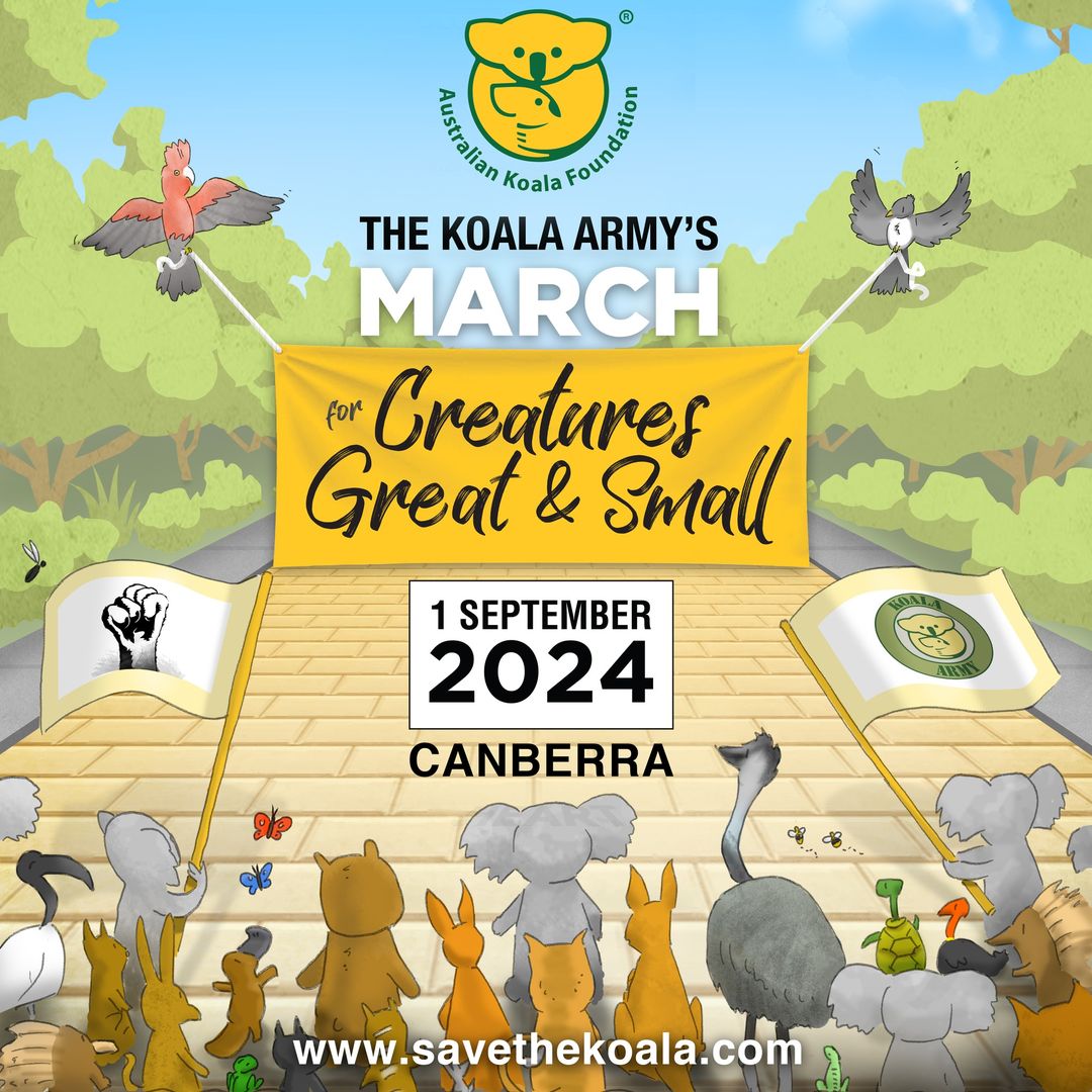 Deborah Tabart OAM (The Koala Woman) (@deborahtabart) on Twitter photo Less than a month to go until the Koala Army's March for Creatures Great and Small - spread the word!
๐ Sunday 1st September 
๐Canberra
RSVP: savethekoala.com/koala-army 
#savethekoala #auspol Less than a month to go until the Koala Army's March for Creatures Great and Small - spread the word!
๐ Sunday 1st September 
๐Canberra
RSVP: savethekoala.com/koala-army 
#savethekoala #auspol