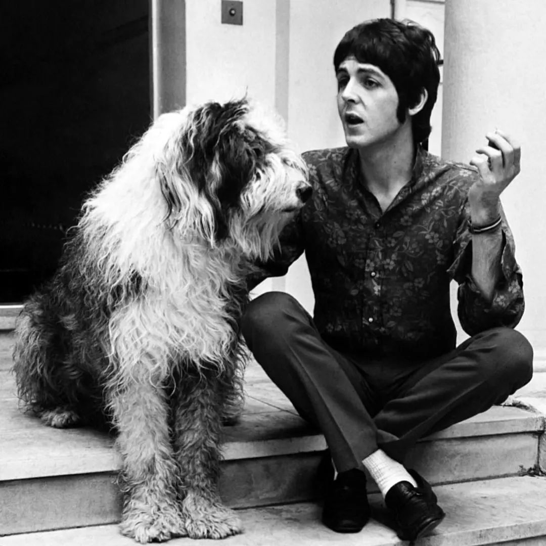 Here Come The Beatles tweet media