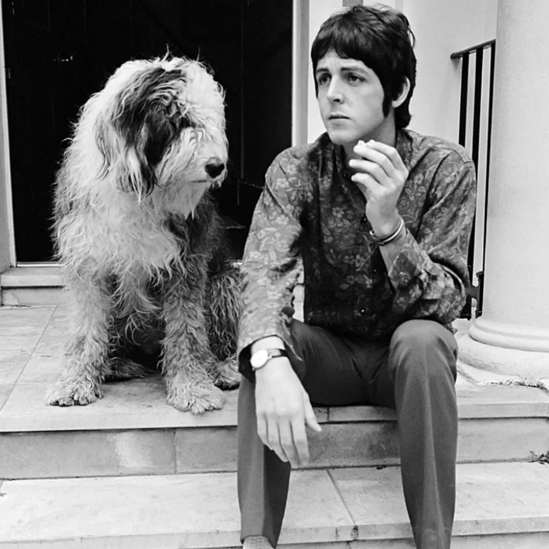 Here Come The Beatles tweet media