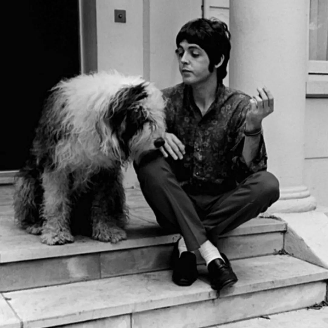 Here Come The Beatles tweet media