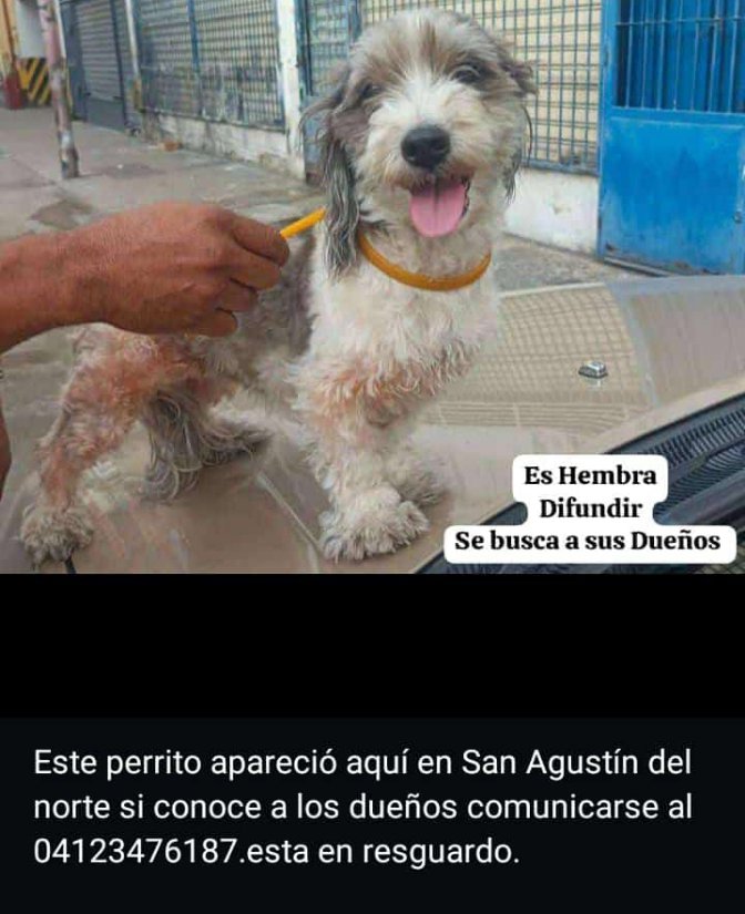 Se busca a su familia.