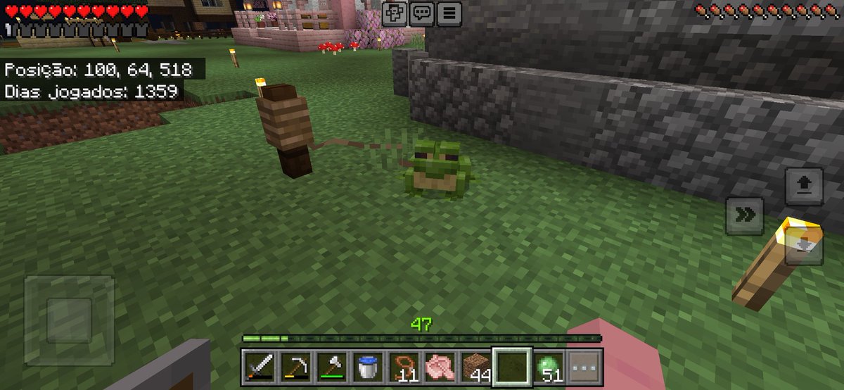 o meu lil frog, t amo neneco