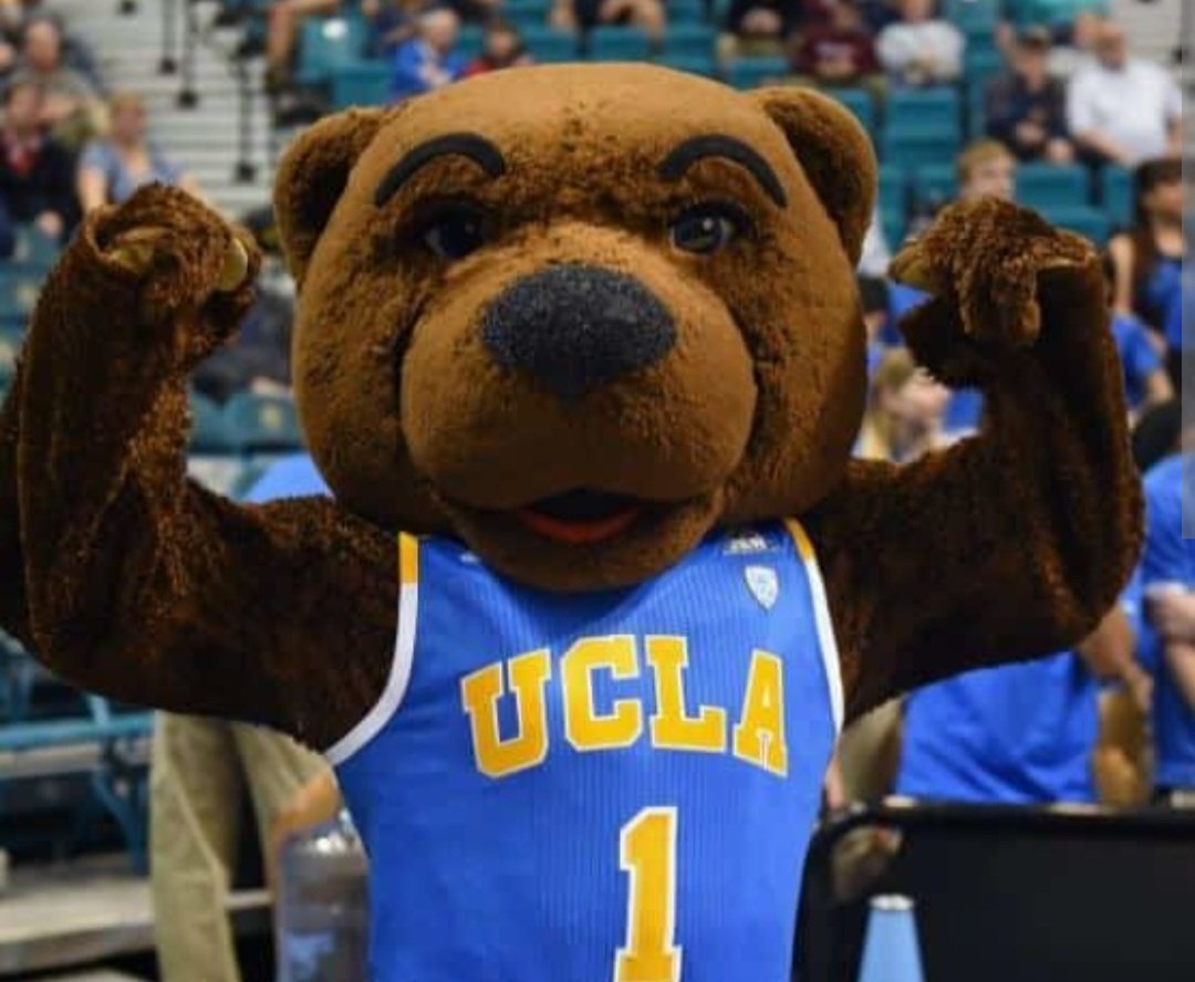 RememberCalimo's tweet image. The mega donor