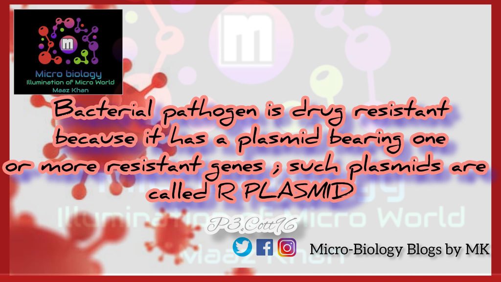DoctorOfMicrobe's tweet photo. #Bacteria
#Microbiology
#BacterialWorld
#MicrobialLife
#MicrobialEcology
#InfectiousDiseases
#BacterialResearch
#MicrobialResearch
#PathogenicBacteria
#BacterialInfections
#AntibioticResistance
#Probiotics
#GoodBacteria
#MicrobialDiversity
#BacterialScience
#MicrobialCommunities https://t.co/GTtugZaUBT