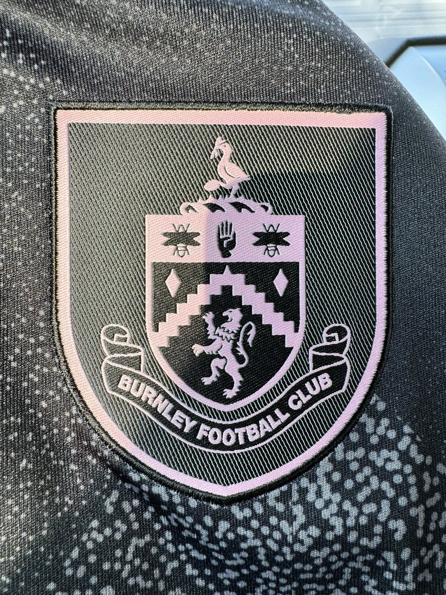 The Questionnn 🏴‍☠️ tweet media