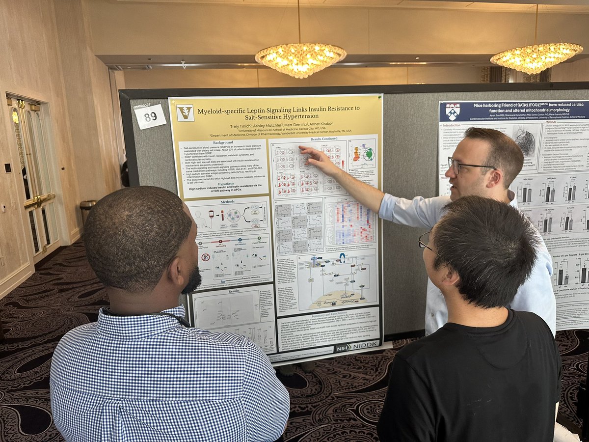 Ashley Mutchler (@ashleylpitzer) on Twitter photo Our summer research med student @Tinich_tmed presenting his amazing work as part of the @vumcdiabetes summer research and training program! <a href="/annetkiraboc1/">Annet Kirabo D.V.M., M.Sc., Ph.D., F.A.H.A.</a> #KiraboLab #NIDDK Our summer research med student @Tinich_tmed presenting his amazing work as part of the @vumcdiabetes summer research and training program! <a href="/annetkiraboc1/">Annet Kirabo D.V.M., M.Sc., Ph.D., F.A.H.A.</a> #KiraboLab #NIDDK