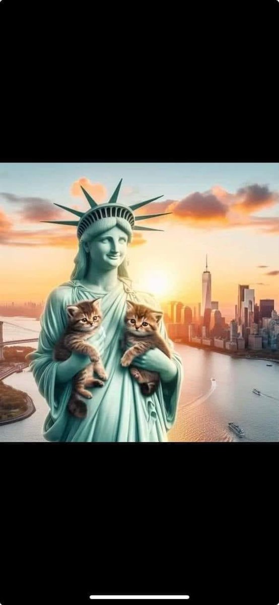 JamesTate121's tweet image. Kitties for liberty?