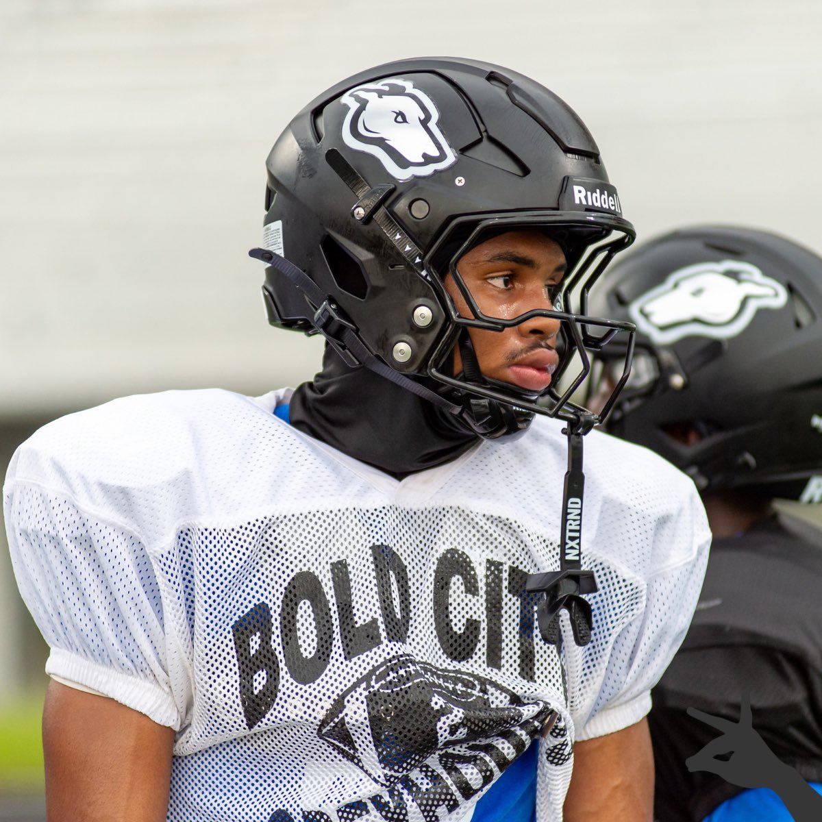 Bold City Greyhounds Football tweet media