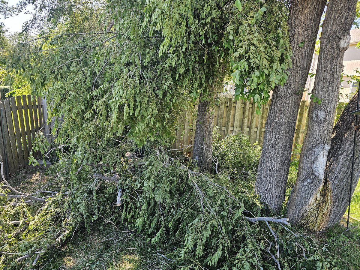 The Loneliest Storm Chaser Food tweet media