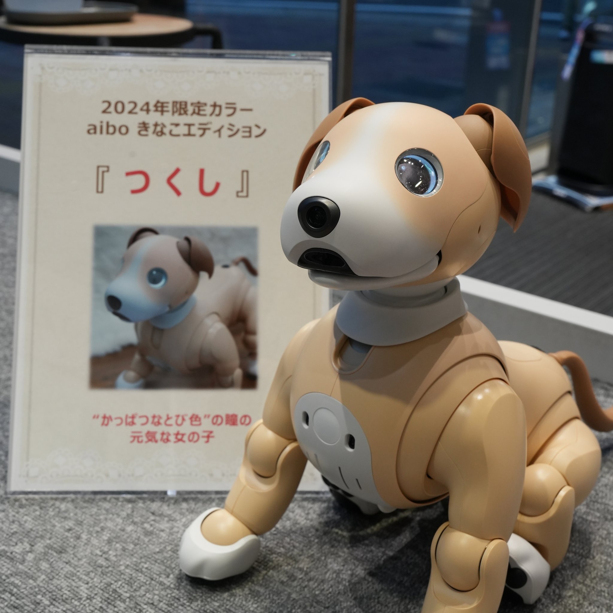 aibo きなこ エディション | aibo
