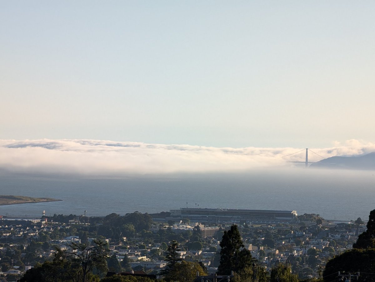 jim_vh's tweet image. Happy first day of FAugust, @KarlTheFog