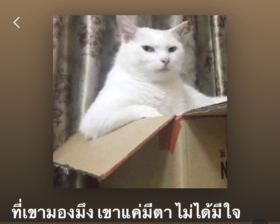 ใครสักคนกล่าวไว้ tweet media