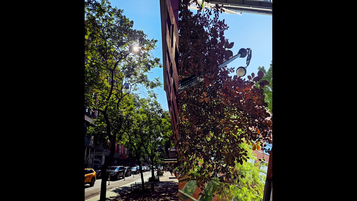 NatalieAPalumbo's tweet image. Extremely busy day today. Got a lot done. My coworkers loved my sailor dress. And I brought home cookies for Anthony. 💙🎨🍪

#newyorknewyork #manhattan #motiongraphicsdesigner #visualeffectscompositor