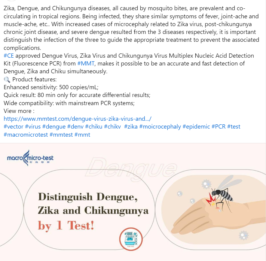 MacroMicroTest's tweet image. #CE approved Dengue Virus, Zika Virus and Chikungunya Virus Multiplex Nucleic Acid Detection Kit (Fluorescence PCR) from #MMT, makes it possible to be an accurate and fast detection of Dengue, Zika and Chiku simultaneously.
View more :
mmtest.com/dengue-virus-z…
#denv #zika #chikv
