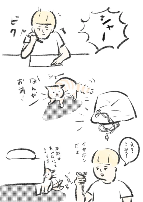 見慣れてるはずの枕元のイヤホン。ぽいっと投げて置いていたのがたまたま蛇か何かに見えたのかすごい警戒してた、猫の本能すごいし想像力も豊か。 