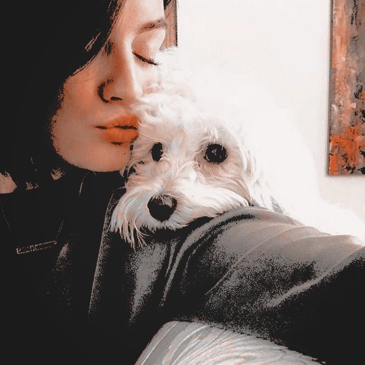 ⠀
⠀⠀⠀ㅤ  𝗡𝗘𝗪 𝐈𝐍𝐒𝐓𝐀𝐆𝐑𝐀𝐌 𝗣𝗢𝗦𝗧
⠀  hace 2 𝗆𝗂𝗇utos ⧽ @ᴛʜʙɪᴛᴄʜᴅᴇsɪɢɴᴇʀ

⠀         Mi compañero de vida 𝙀𝙡𝙫𝙞𝙨 
⠀───────────────
⠀⠀⌂⠀⠀⠀⌕⠀⠀⠀⊞⠀⠀⠀♡
⠀