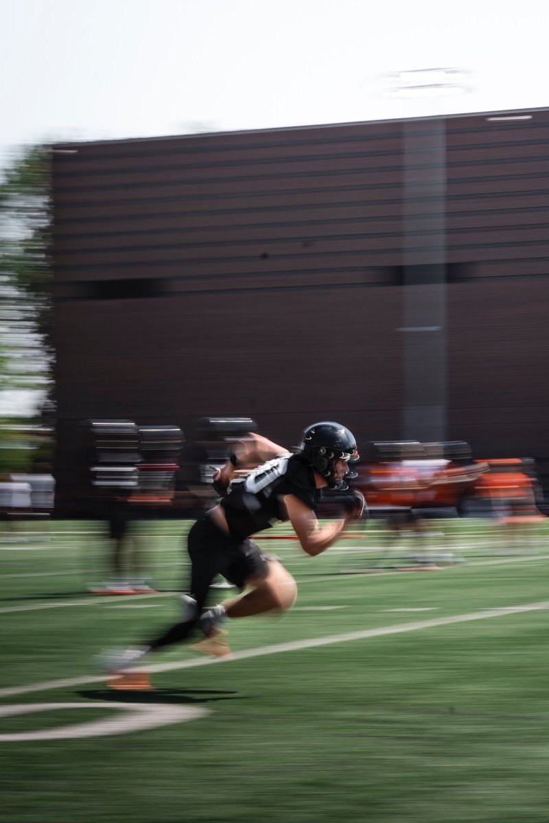 Mason Holland tweet media