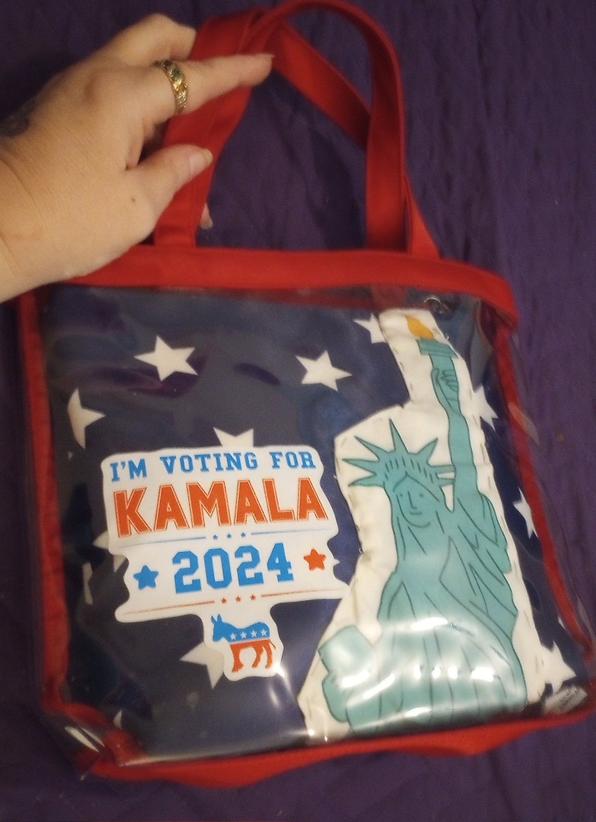 GingerStrivelli's tweet photo. #sewed myself a new #purse #KamalaBringingDownTheDon  #DemsRiseUp  gotta save the #USA from #Cult45  #Kamala  #ladyliberty is a #Goddess https://t.co/VkiywCRBU2