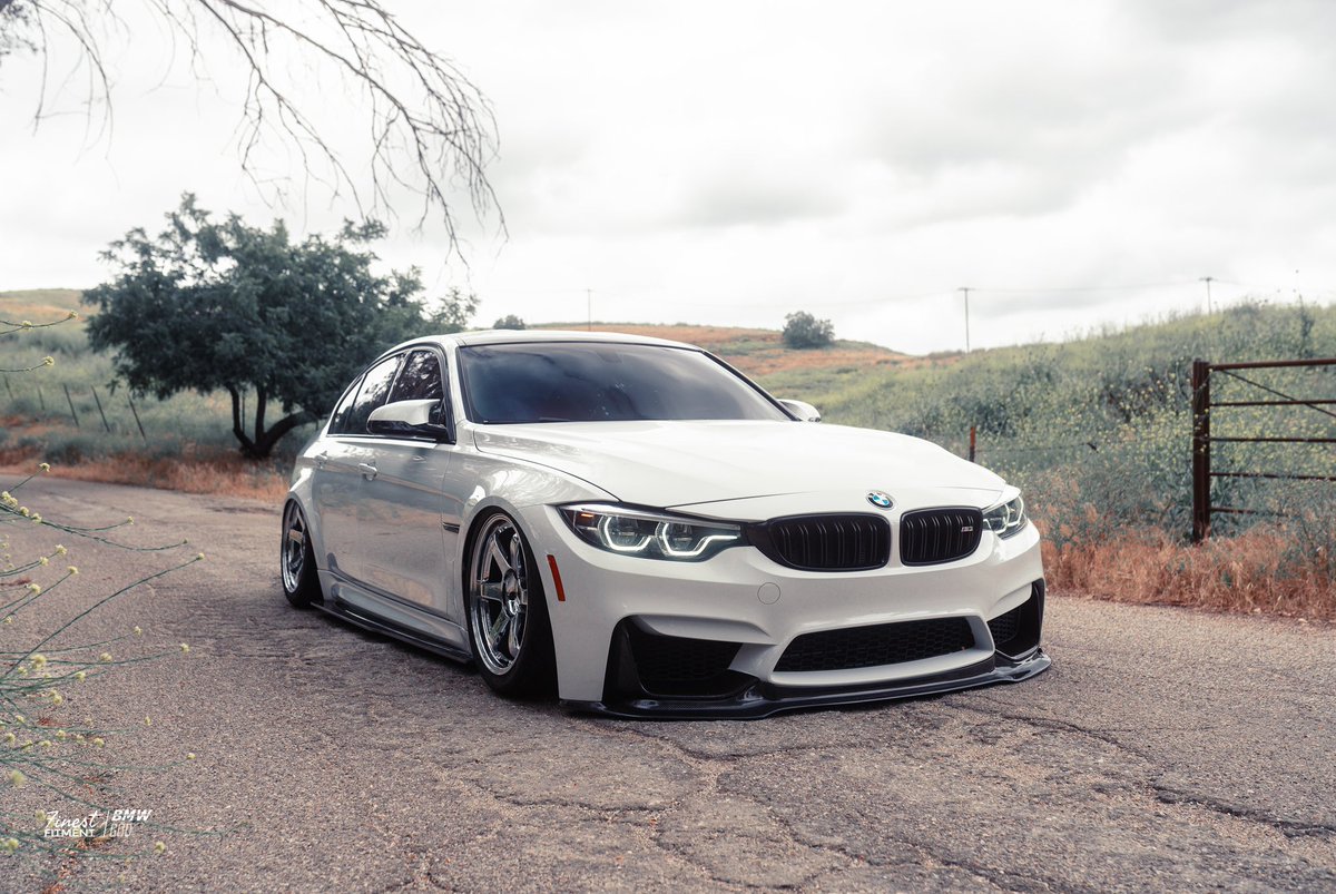 𝚎𝚕𝚒 tweet media