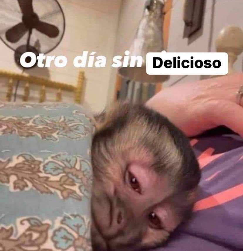 triste y con ganas de morirme ☹︎ tweet media