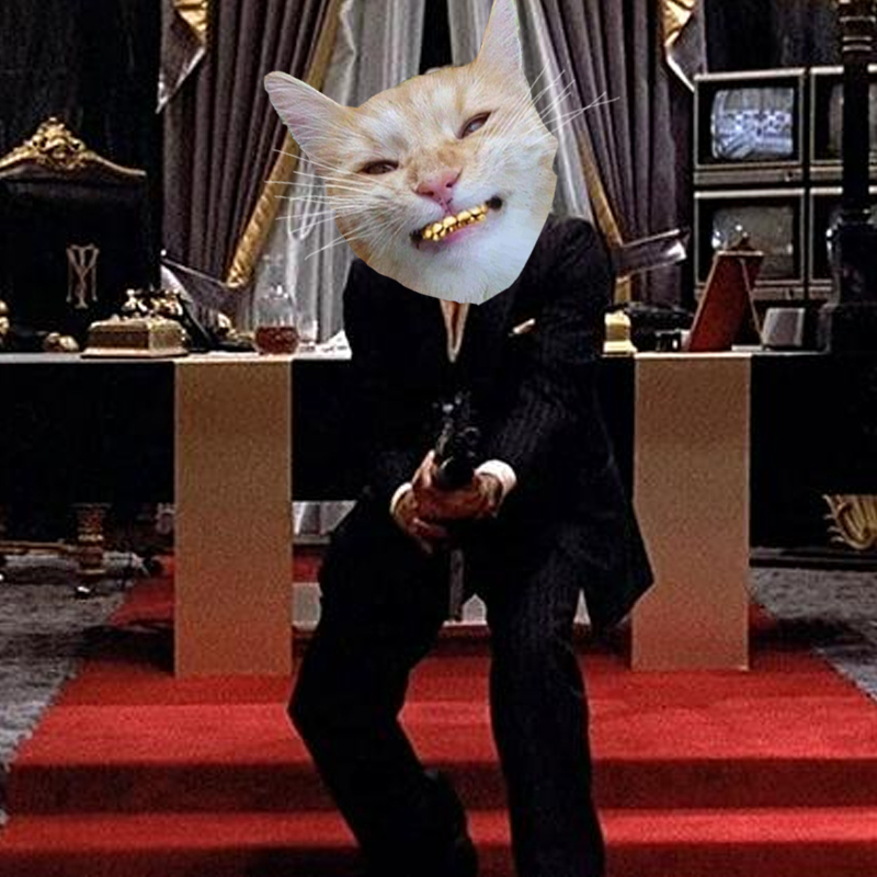 YeaVavy's tweet photo. @TheManeCat BANG BANG MANE.... https://t.co/9K53mEj5HW