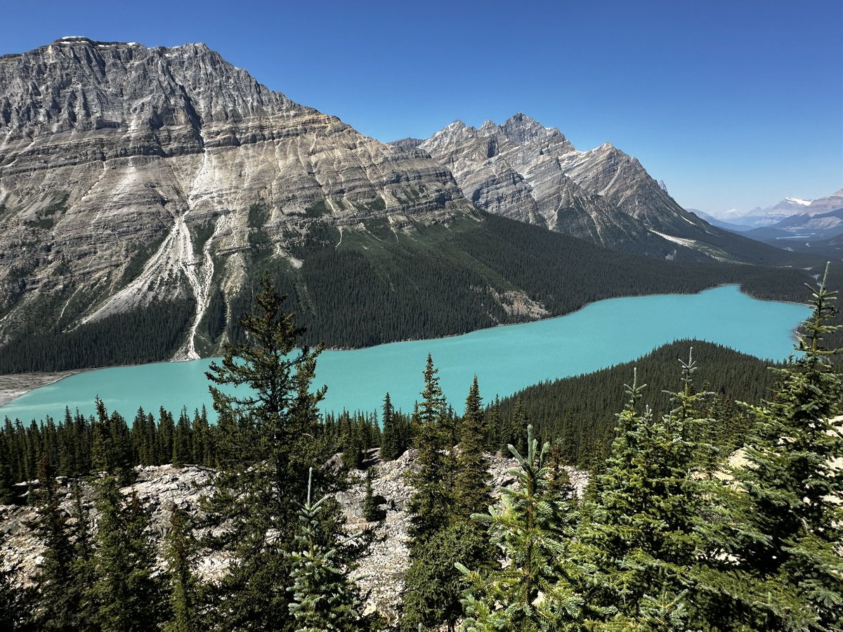 Lord Eldritch tweet media