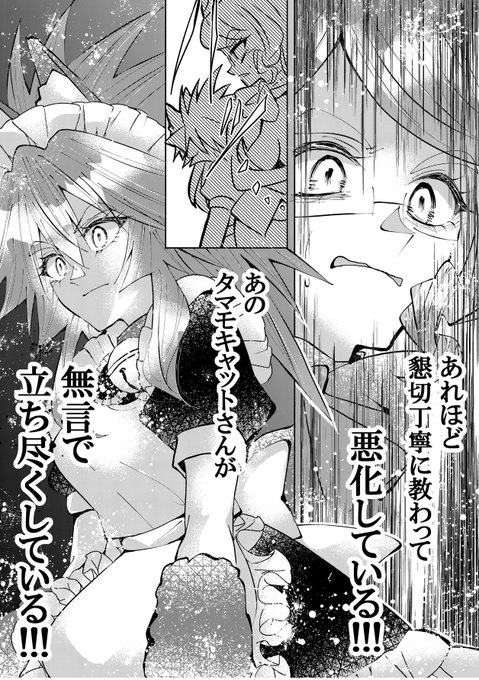 タマモキャット先生の料理教室 0/3 #FGO #FateGO #C104