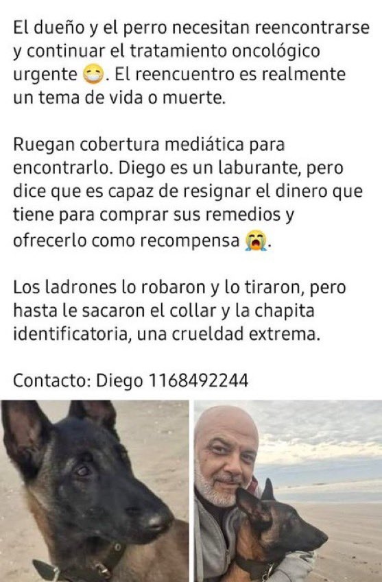 EsTendenciaEnX's tweet photo. “Bravo”:
Porque Diego tiene CANCER y busca a su perro TAMBIÉN CON CANCER “Bravo”, es acompañante terapéutico, el perro se estaba entrenando con el dueño para ayudarlo con su enfermedad y que ambos se curen mutuamente, se lo llevaron

🚨DIFUNDIR RT🚨
LAS TONINAS/SAN BERNARDO/COSTA https://t.co/m9wWvuDoI5
