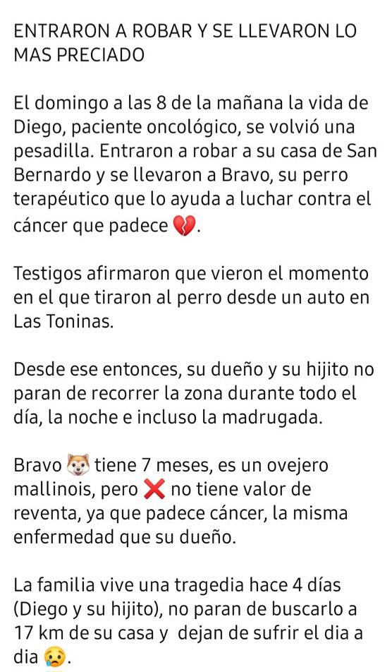 EsTendenciaEnX's tweet photo. “Bravo”:
Porque Diego tiene CANCER y busca a su perro TAMBIÉN CON CANCER “Bravo”, es acompañante terapéutico, el perro se estaba entrenando con el dueño para ayudarlo con su enfermedad y que ambos se curen mutuamente, se lo llevaron

🚨DIFUNDIR RT🚨
LAS TONINAS/SAN BERNARDO/COSTA https://t.co/m9wWvuDoI5