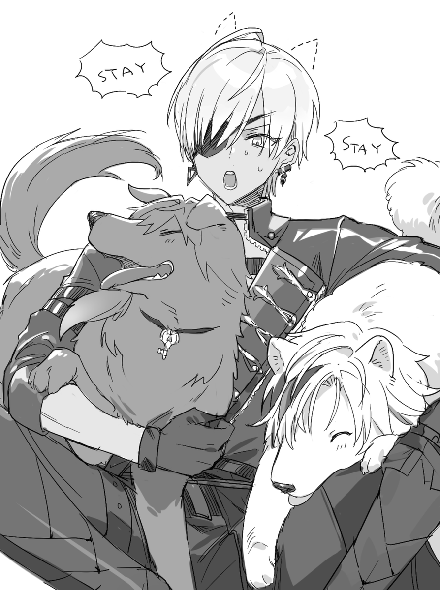 🐶🐱🐶 