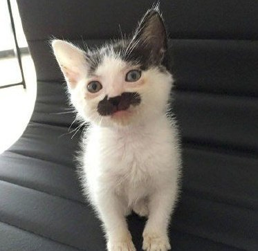 valeucomputer's tweet image. 